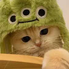 Enchong Dee avatar